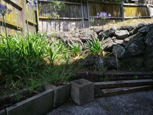 IMG_20191210_102601.jpg IMG_20191210_102601.jpg