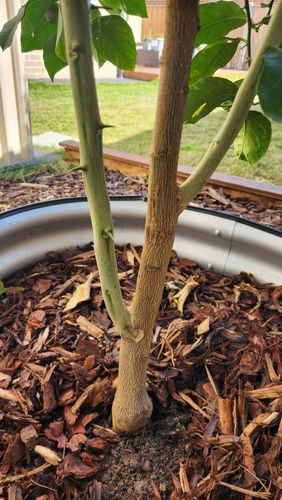 1000165756.jpg 1000165756.jpg