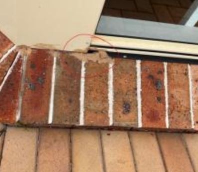 Capture1.JPG Capture1.JPG