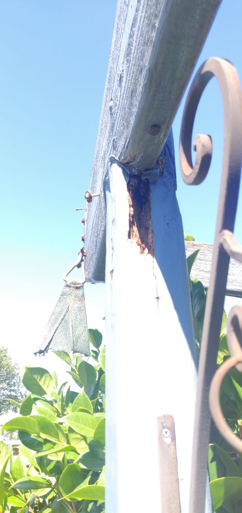 IMG_20211203_102304.jpg IMG_20211203_102304.jpg