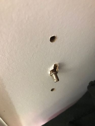 76AD6417-4C01-426E-B970-39CB4831F660.jpeg 76AD6417-4C01-426E-B970-39CB4831F660.jpeg