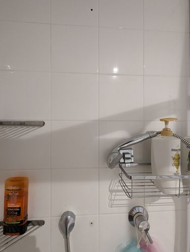 1000066791.jpg 1000066791.jpg