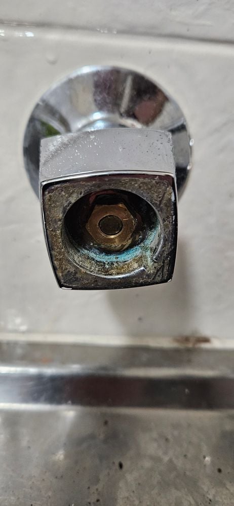 20230614_102749.jpg 20230614_102749.jpg