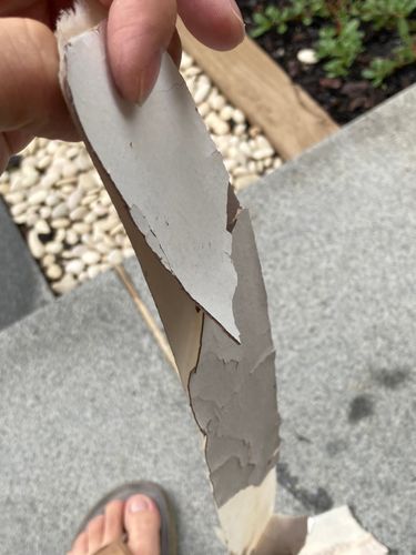 7DBCB191-AFFA-4D47-9D70-CB531112DE47.jpeg 7DBCB191-AFFA-4D47-9D70-CB531112DE47.jpeg