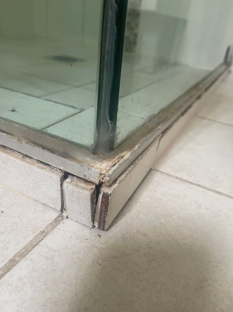 IMG_4647.JPG IMG_4647.JPG