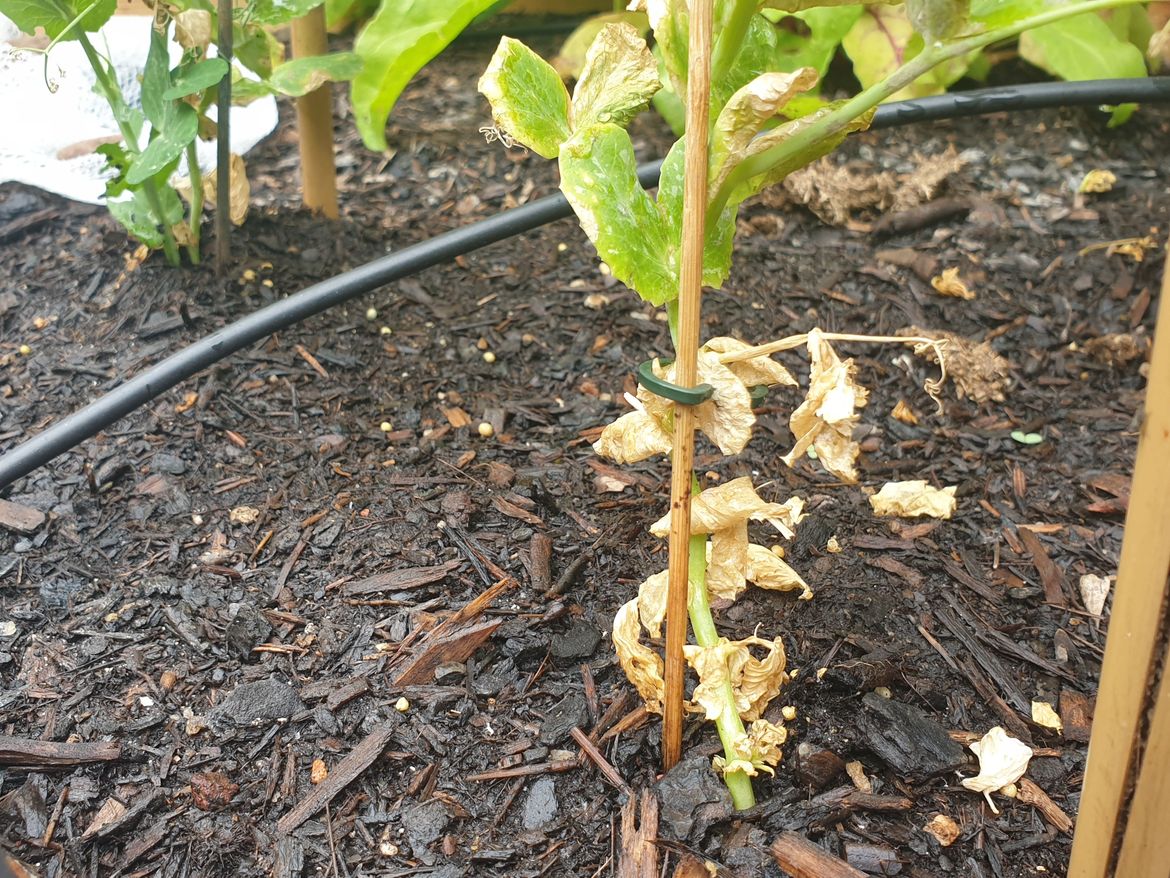 20231205_105837.jpg 20231205_105837.jpg