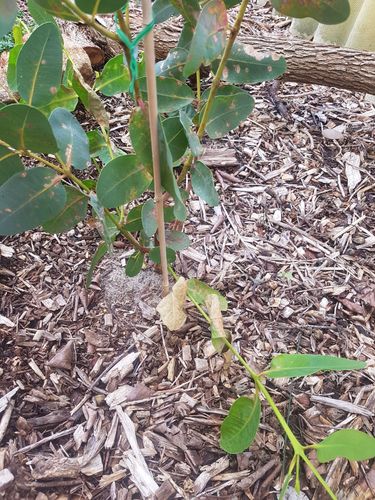 20240720_122007.jpg 20240720_122007.jpg