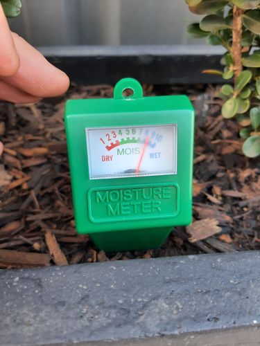 20220102_081349.jpg 20220102_081349.jpg