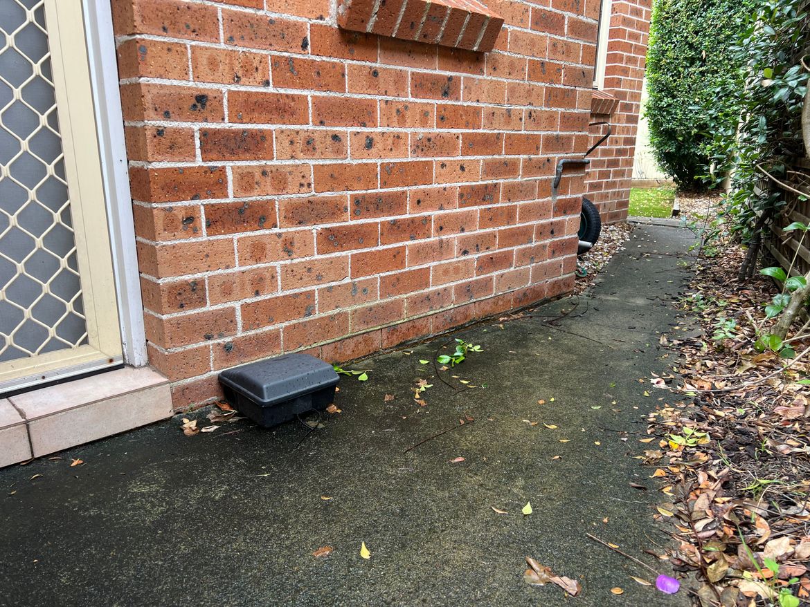 IMG_5236.jpeg IMG_5236.jpeg