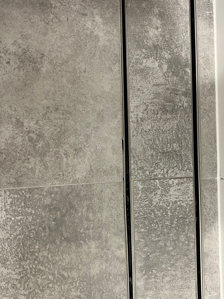 IMG_4795.jpg IMG_4795.jpg