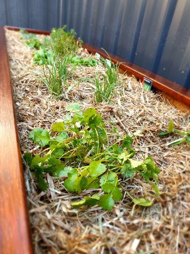 20201110_183510.jpg 20201110_183510.jpg