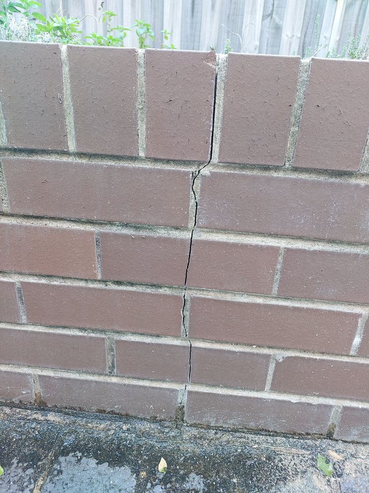 Media (6).jfif Media (6).jfif