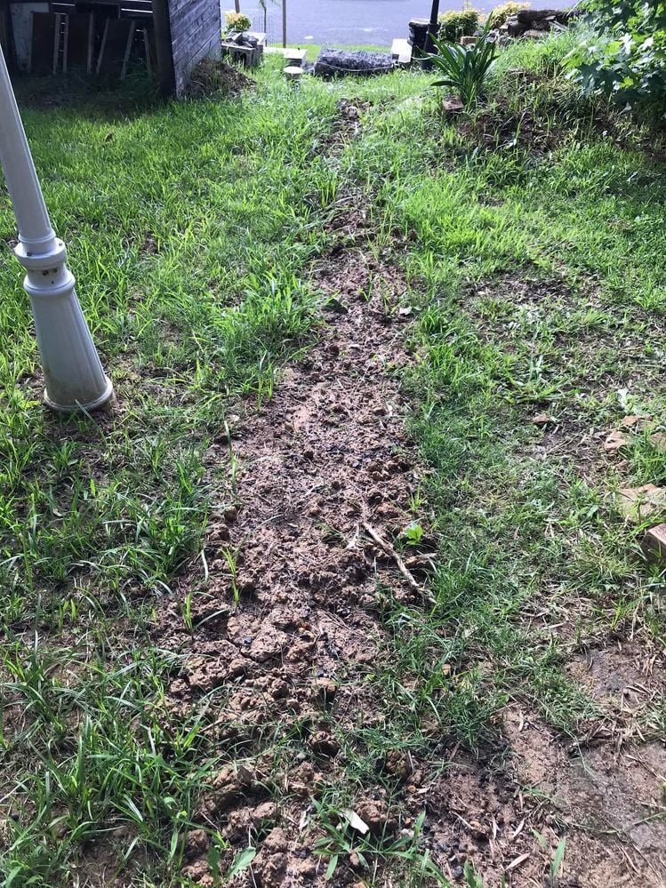 49 24-11-2021.jpg 49 24-11-2021.jpg