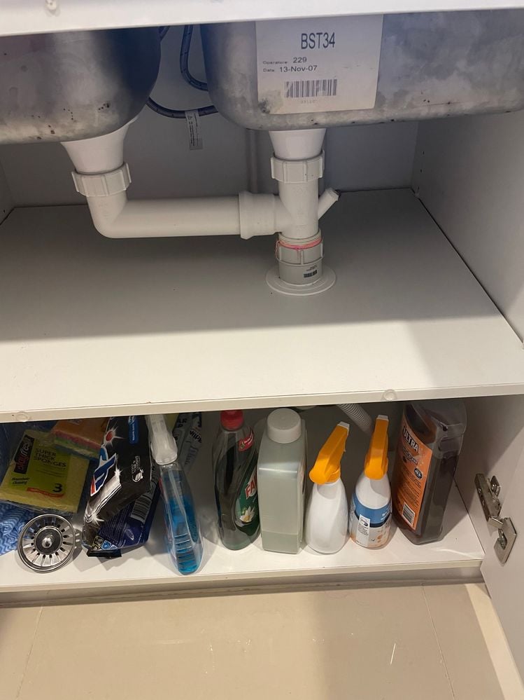 IMG_3156.jpeg IMG_3156.jpeg