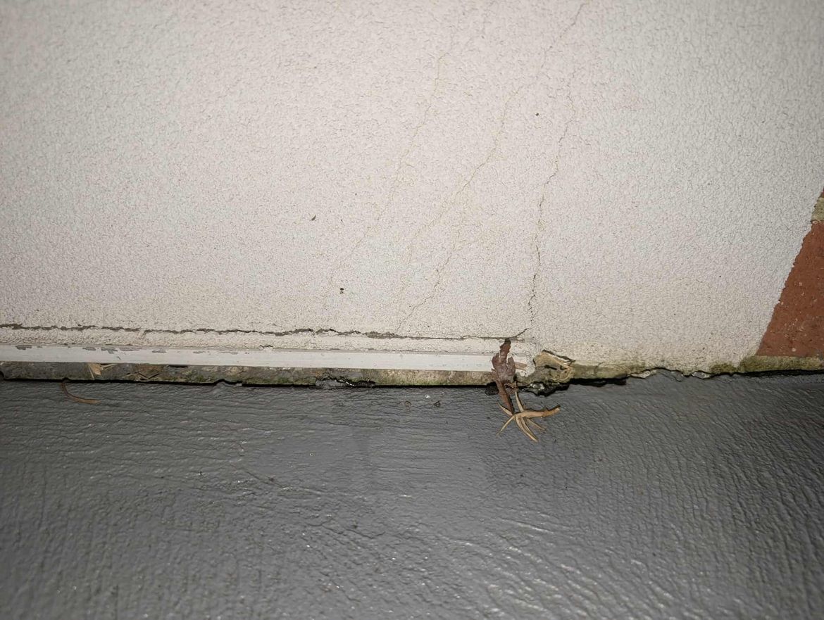 510762240_1084567223548672_29720311304098481_n.jpg 510762240_1084567223548672_29720311304098481_n.jpg