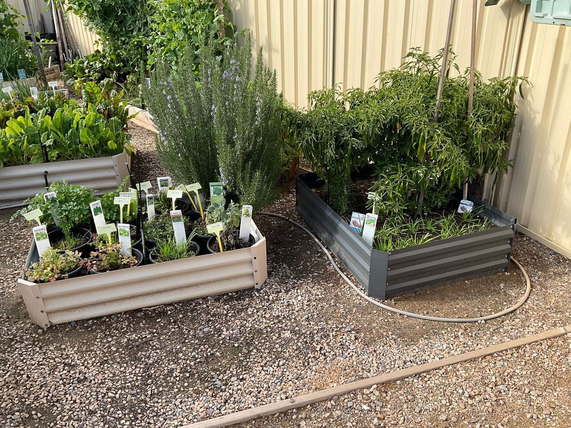 RobP_7-1723691863896.jpeg RobP_7-1723691863896.jpeg