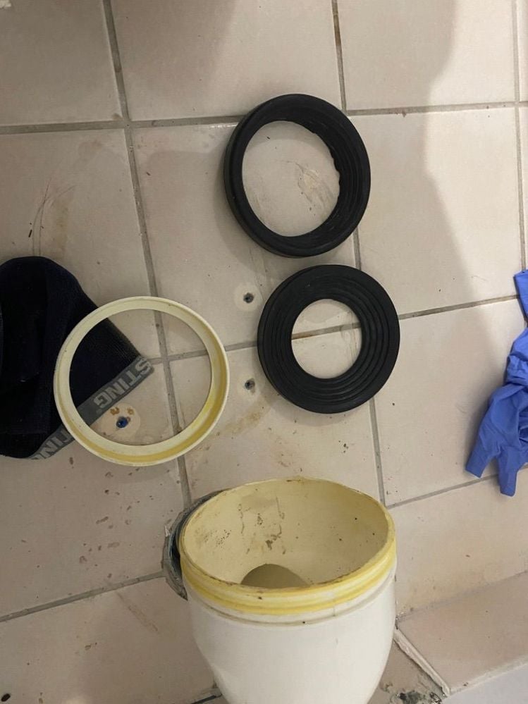 IMG_4904.jpeg IMG_4904.jpeg