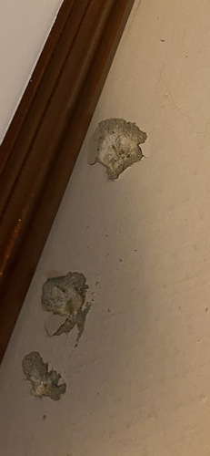 IMG_1598.png IMG_1598.png