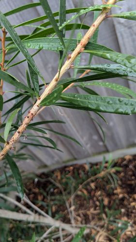 1000012954.jpg 1000012954.jpg