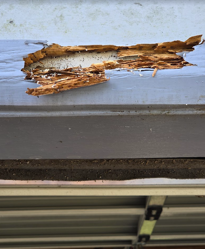 Yangaz_1-1760911155243.png Yangaz_1-1760911155243.png