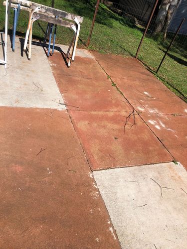 IMG_1037.jpeg IMG_1037.jpeg