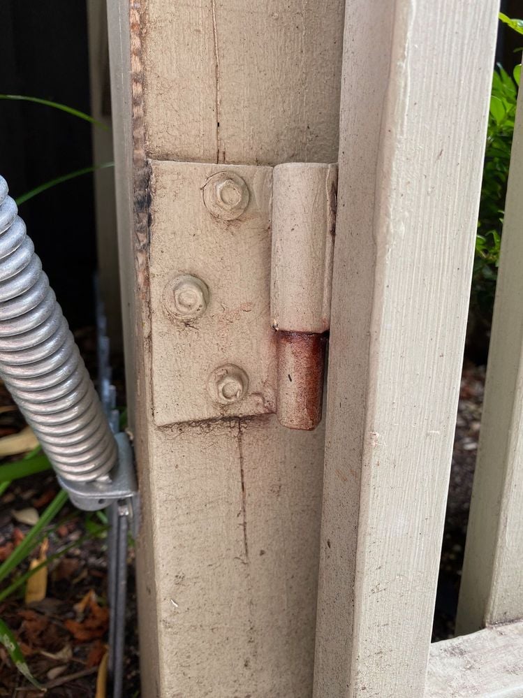 IMG_8672.jpg IMG_8672.jpg