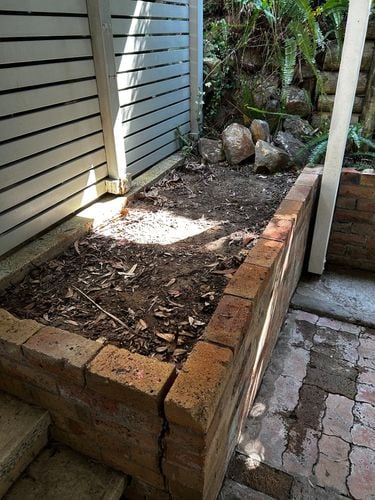 IMG_5386.jpeg IMG_5386.jpeg