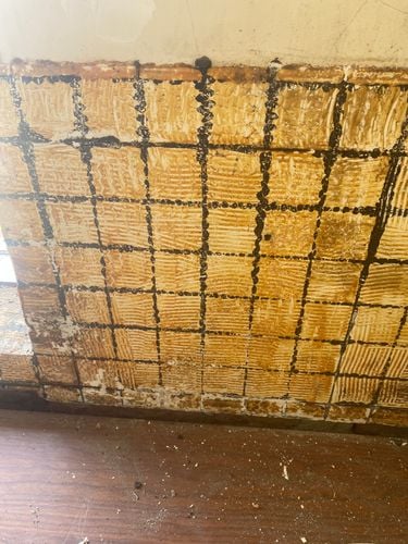 IMG_0338.jpeg IMG_0338.jpeg