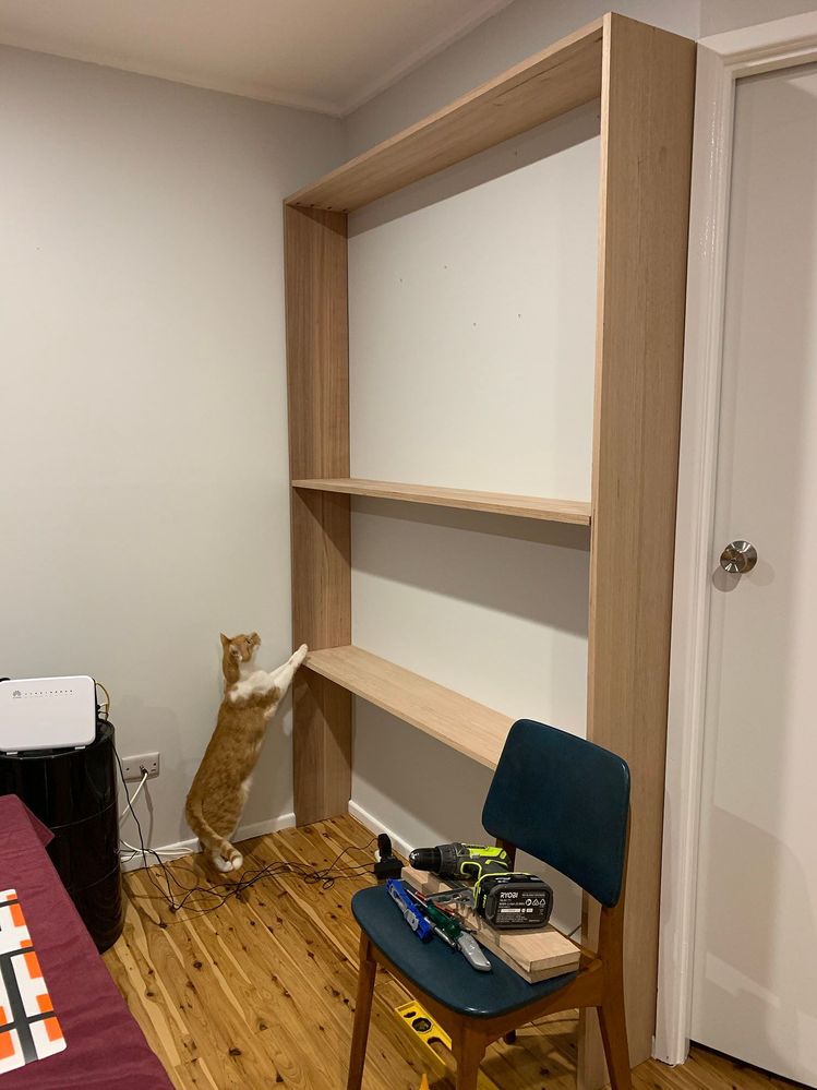 shelving05.jpg shelving05.jpg