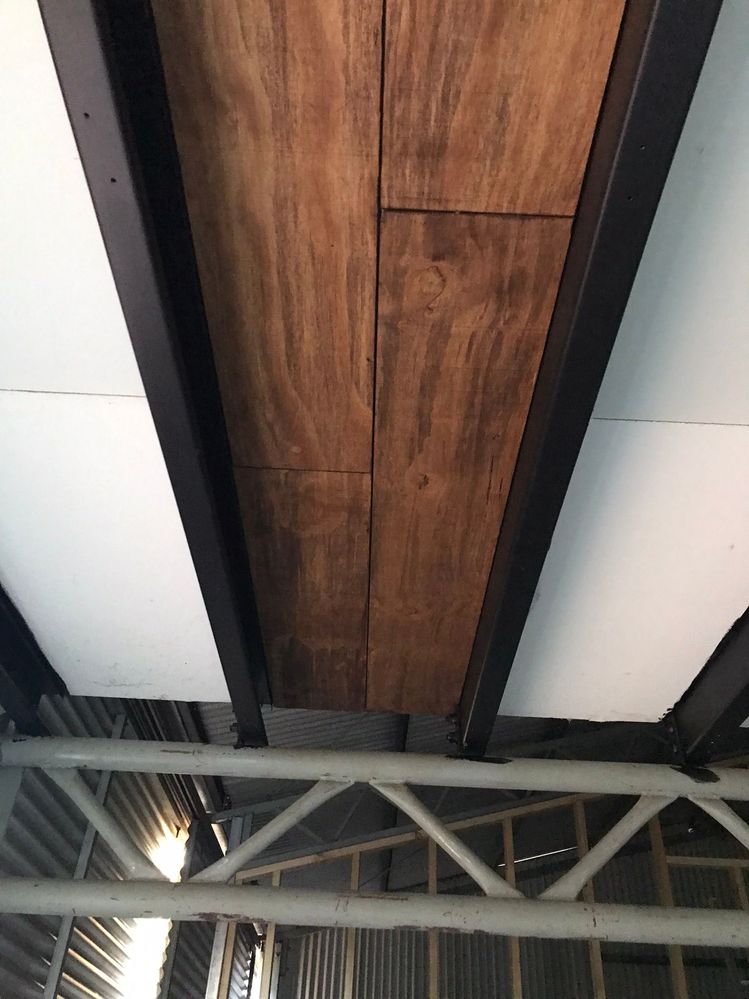 Ceiling Plywood.JPEG Ceiling Plywood.JPEG
