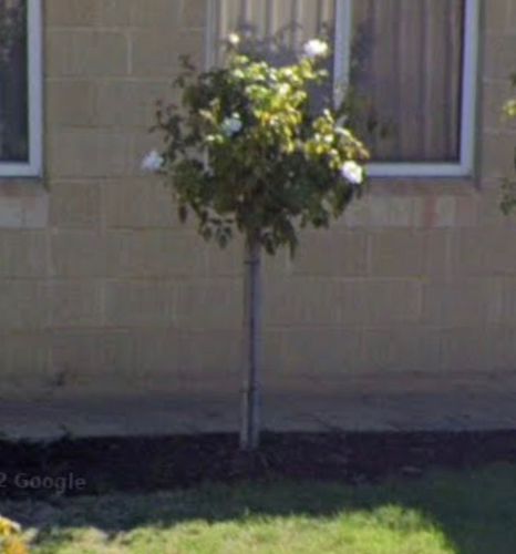 IMG_4843.jpeg IMG_4843.jpeg