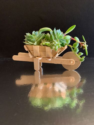 3BE92CBC-8898-46EB-A37C-911FDA36D486.jpeg 3BE92CBC-8898-46EB-A37C-911FDA36D486.jpeg