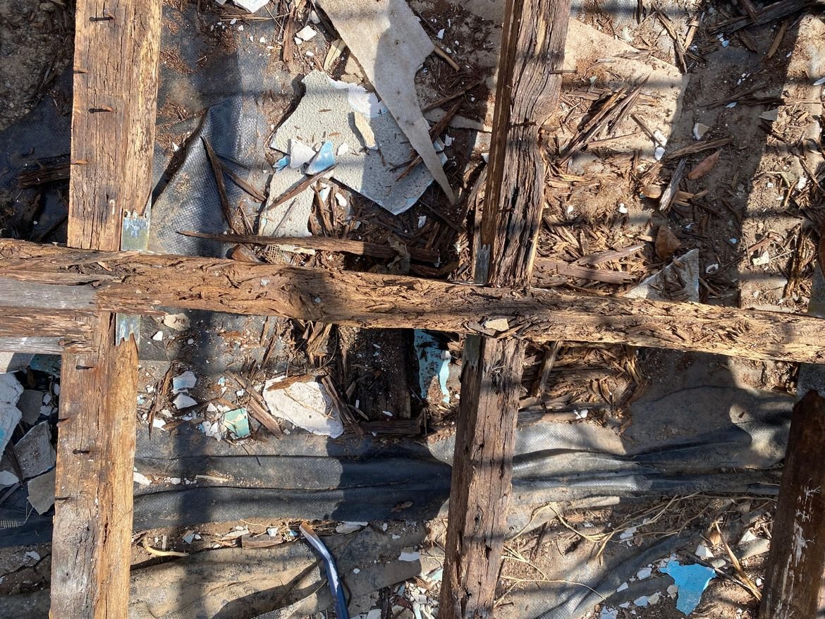 IMG_6751.jpg IMG_6751.jpg