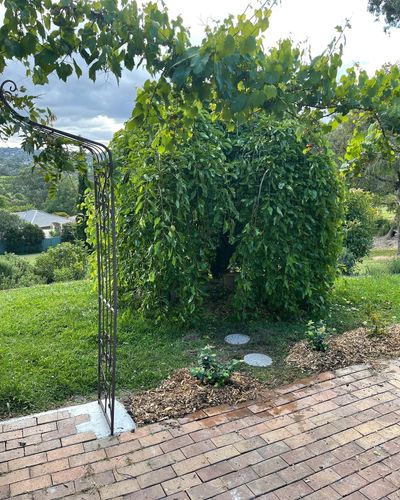 E63937A4-A3FB-4C75-ADF9-003683F1E123.jpeg E63937A4-A3FB-4C75-ADF9-003683F1E123.jpeg