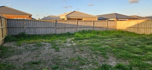 1000010554.jpg 1000010554.jpg