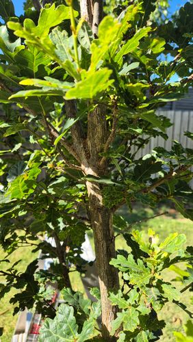 1000017883.jpg 1000017883.jpg