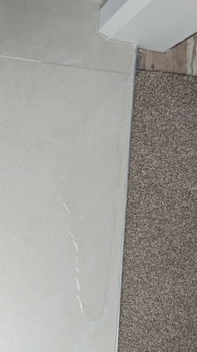 1000014153.jpg 1000014153.jpg