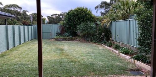 D1460802-9552-4864-B018-728565F4C38F.jpeg D1460802-9552-4864-B018-728565F4C38F.jpeg