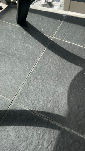 IMG_6299.jpeg IMG_6299.jpeg