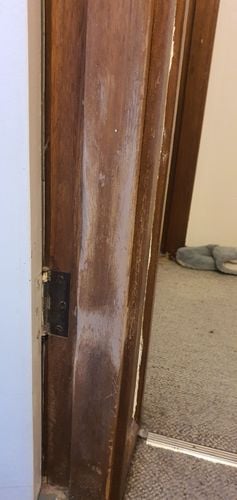 20200501_152324.jpg 20200501_152324.jpg