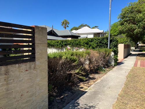 IMG_8633.jpeg IMG_8633.jpeg