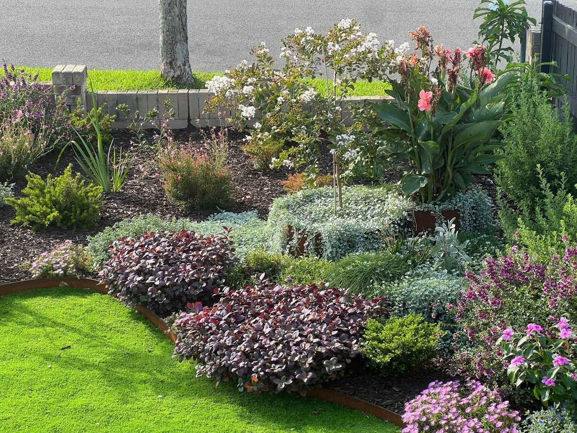 IMG_1746-1.jpeg IMG_1746-1.jpeg