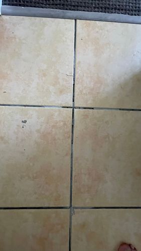 IMG_E1065.JPG IMG_E1065.JPG