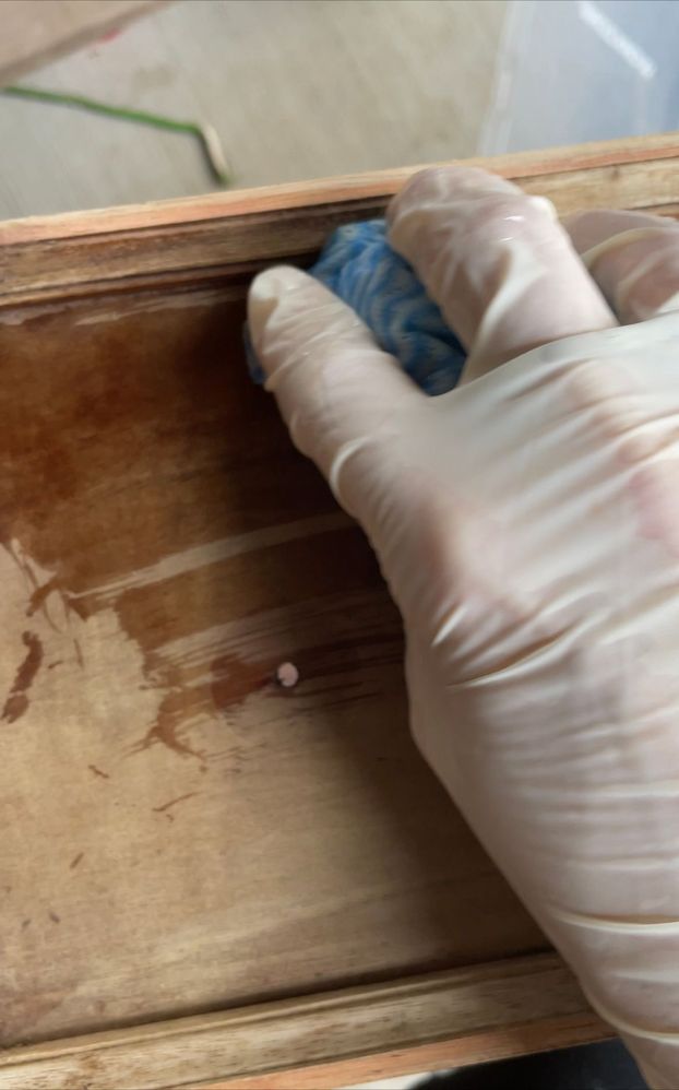 IMG_B0F38143C470-1.jpeg IMG_B0F38143C470-1.jpeg