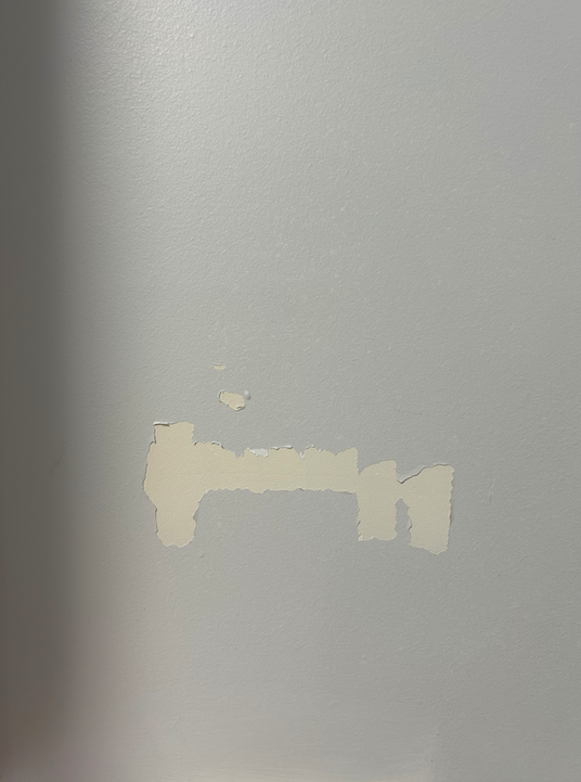 Screen Shot 2024-12-13 at 9.28.00 am.png Screen Shot 2024-12-13 at 9.28.00 am.png