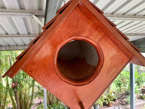 12252177-A0F8-41B0-93D7-BA98AD663068.jpeg 12252177-A0F8-41B0-93D7-BA98AD663068.jpeg