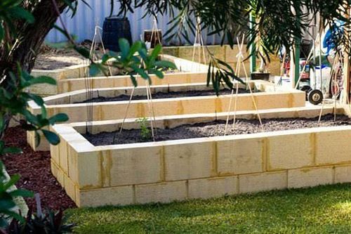 IMG_7381.jpeg IMG_7381.jpeg