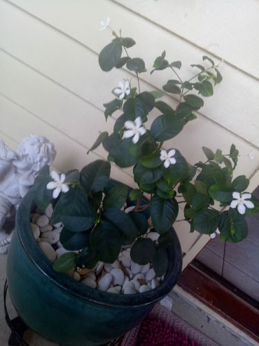 IMG20191215121945.jpg IMG20191215121945.jpg