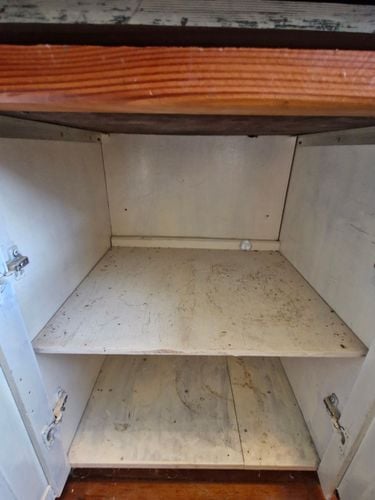 1000011363.jpg 1000011363.jpg