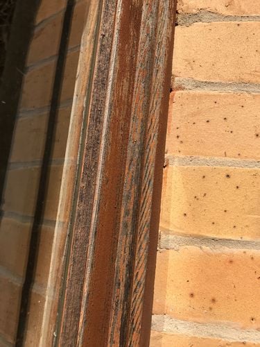 32919149-C49F-4EA0-BCE7-E8FAE21BE53C.jpeg 32919149-C49F-4EA0-BCE7-E8FAE21BE53C.jpeg